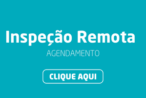 Inspeção Remota